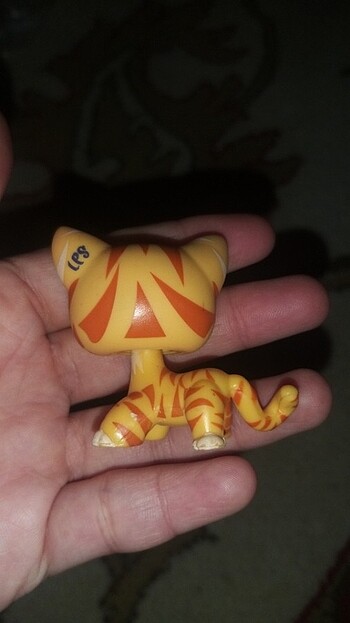 Lps tiger