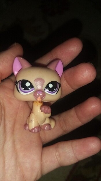 Miniş