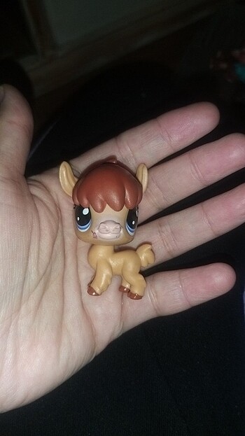 Lps miniş