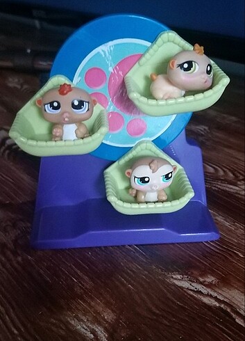 Beden Hamster minişler
