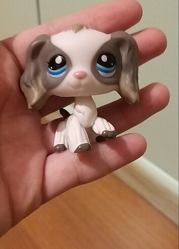Lps miniş