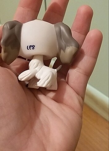 Lps miniş