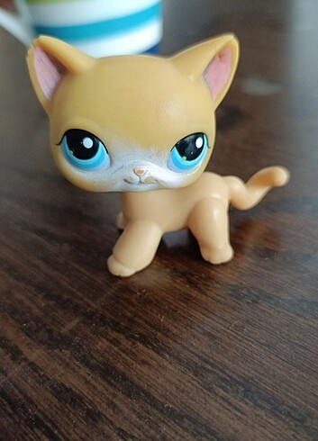 Lps miniş