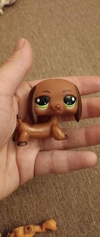 Lps miniş