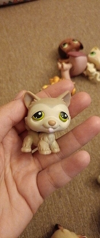 Lps miniş