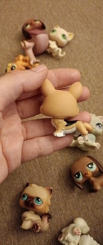 Lps miniş