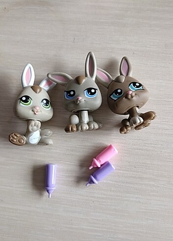Tavşan miniş set
