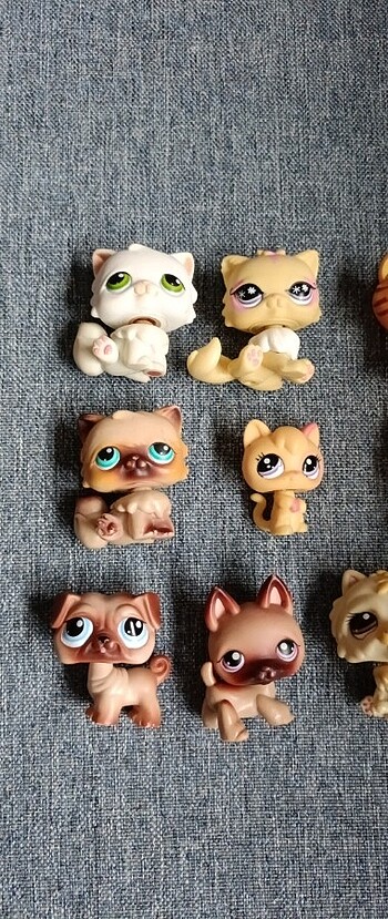 Lps minişler