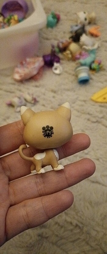 Miniş