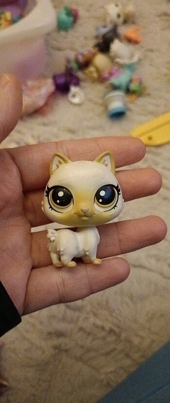 Miniş