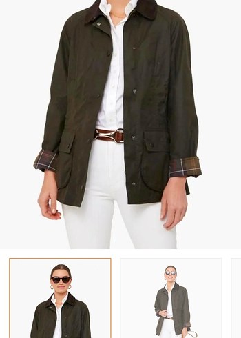 Barbour 38