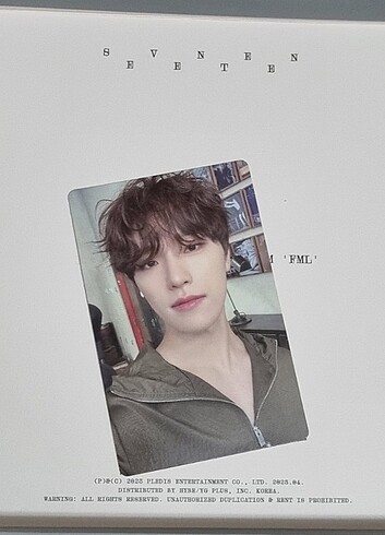dino fml