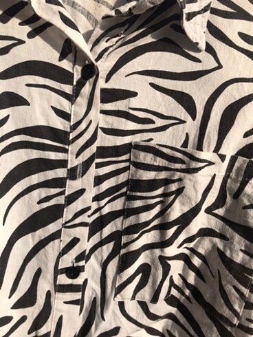 s Beden Zebra desen gömlek
