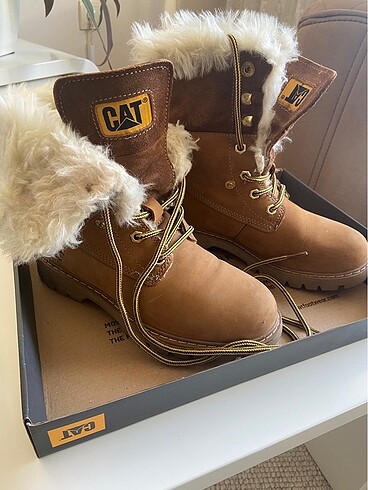 Cat #cat bot
