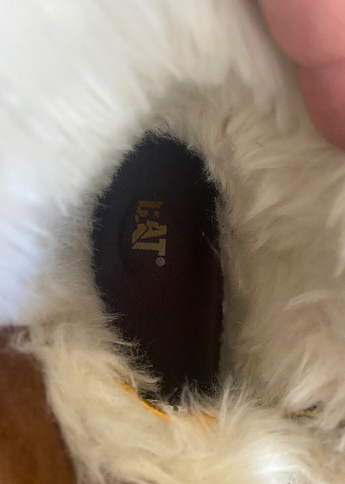 #cat bot - Görsel 4