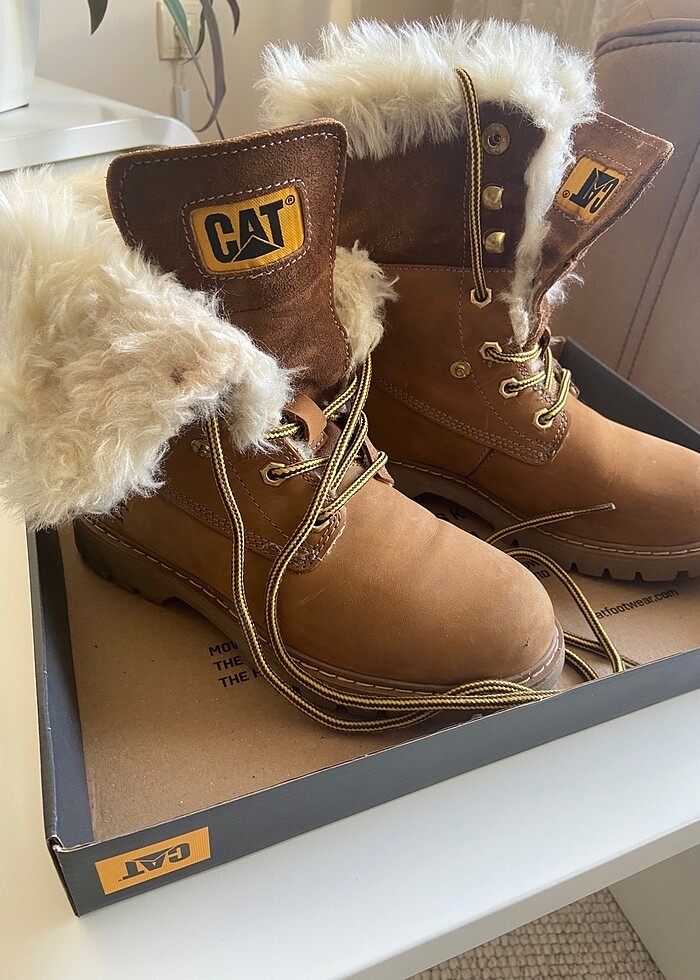 #cat bot - Görsel 2