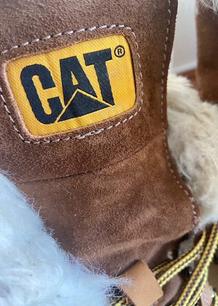 #cat bot - Görsel 3