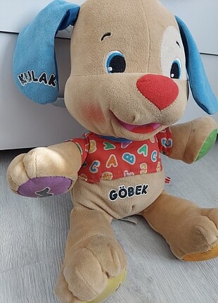 Akıllı köpek