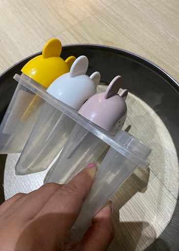 Madame Coco Renkli Plastik Dondurma Kalıpları ve Yuvarlak Kek Kalıbı