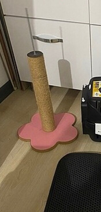 Beden Kedi tırmalama