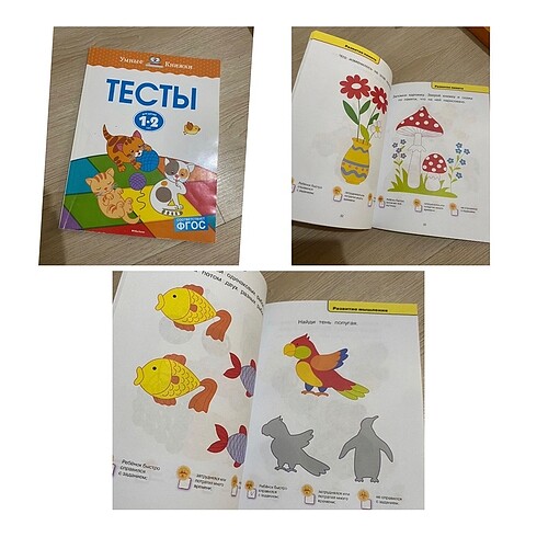  Beden Renk Kitablar ve çanta