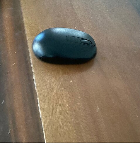 Mouse