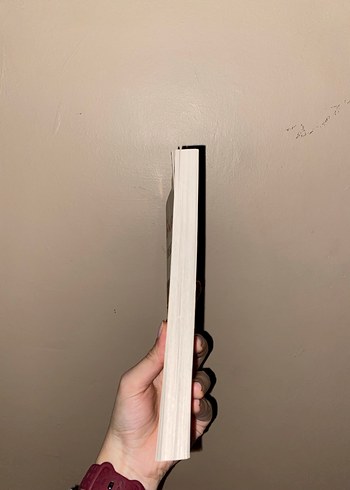 Livaneli - Bekle Beni Roman - Görsel 4