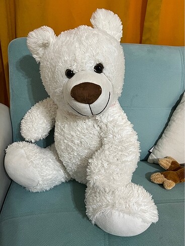 Buyuk ayı 75 cm