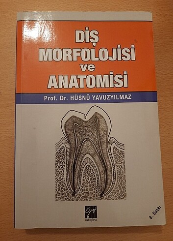 Diş morfolojisi ve anatomisi