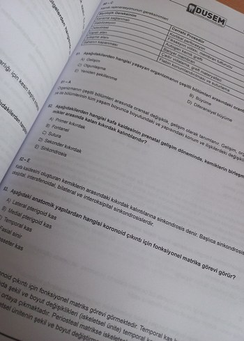 DUSEM Açıklamalı Deneme Sınavları Serisi 1 - Görsel 3