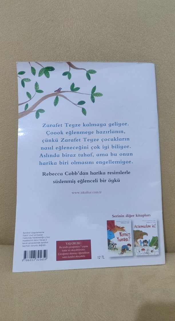 Tuhaf Bir Gün - Rebecca Cobb - Görsel 2