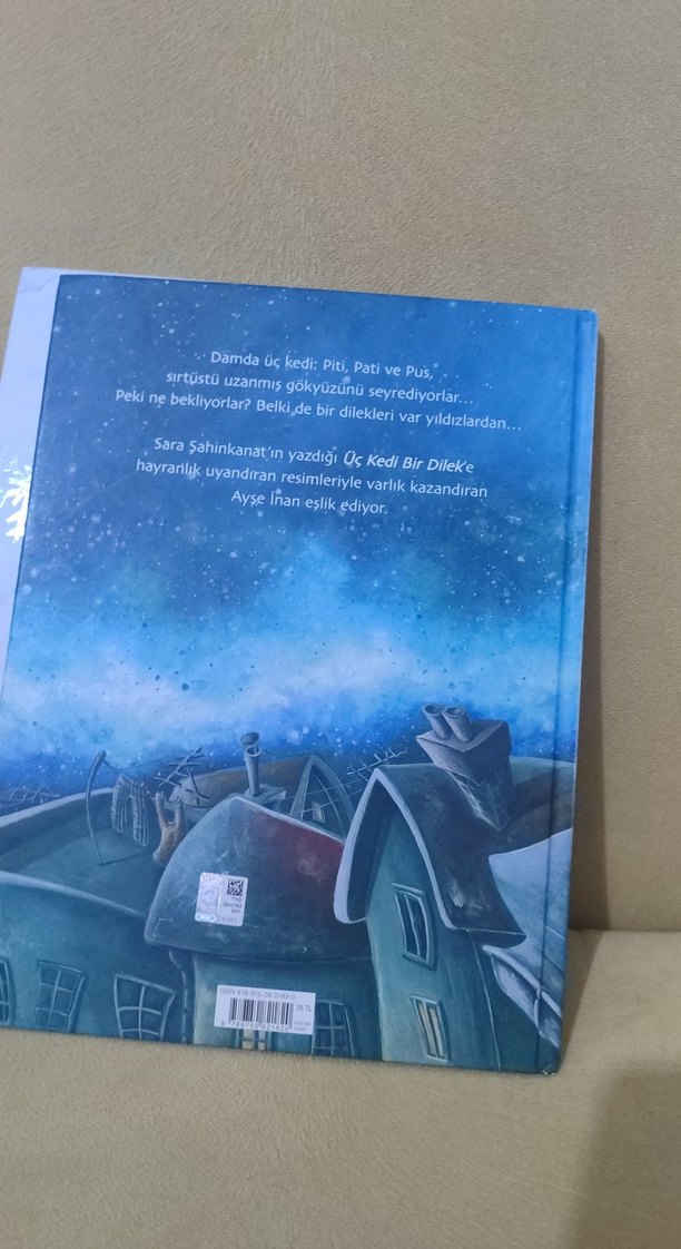 Üç Kedi Bir Dilek ve Bir Canavar Kitapları - Görsel 5