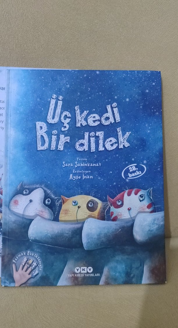 Üç Kedi Bir Dilek ve Bir Canavar Kitapları - Görsel 4