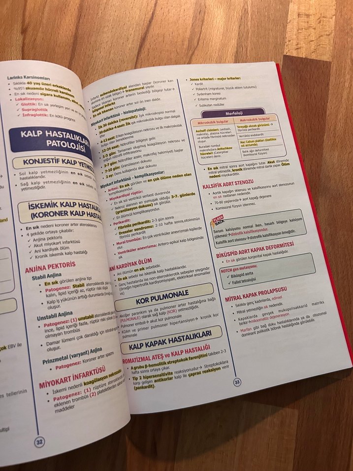SPEETUS Patoloji Kitabı 2. Baskı Güncellenmiş - Görsel 2