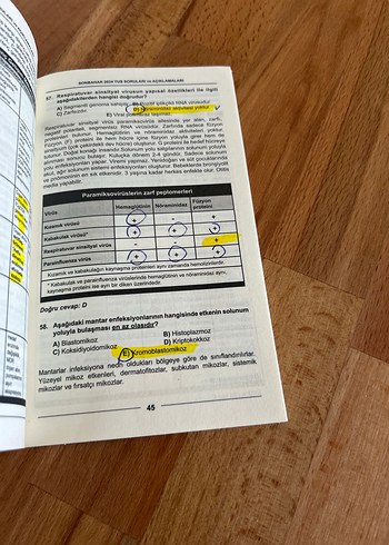 Sonbahar 2024 TUS - Görsel 2