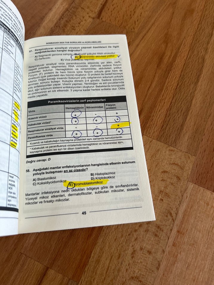 Sonbahar 2024 TUS - Görsel 2