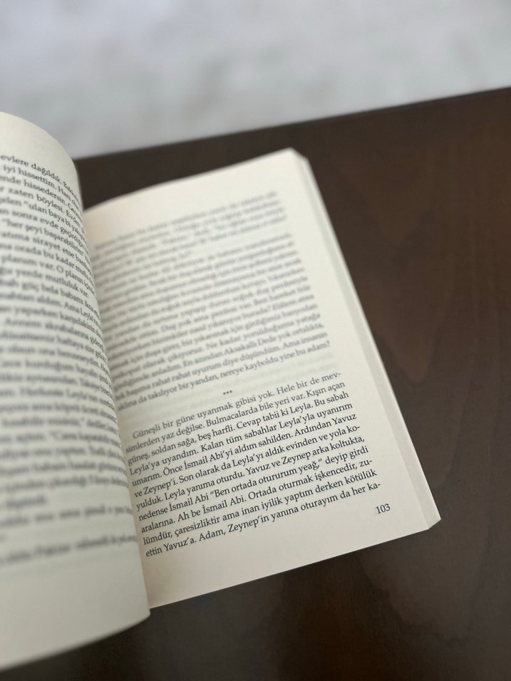 Leyla ile Mecnun - Burak Aksak Romanı - Görsel 3