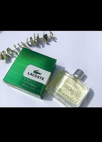 Lacoste Essentia 125 ml erkek parfümü 