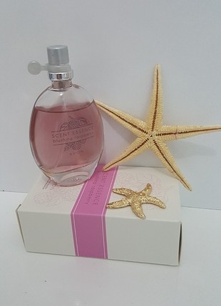 Scent essence