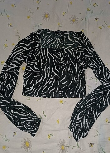 Zebra crop bluz