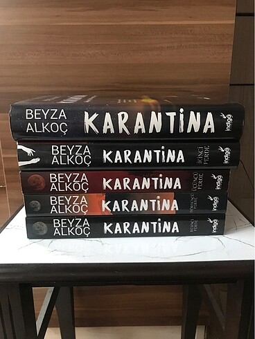 Karantina serisi - Beyza alkoç