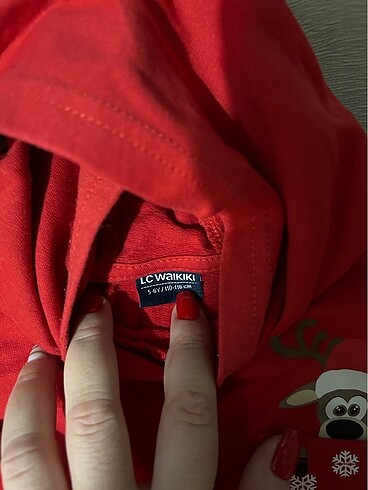 LC Waikiki Çocuk sweetshirt