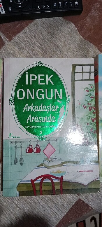 ipek ongun kitapları