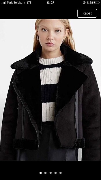 Stradivarius mont
