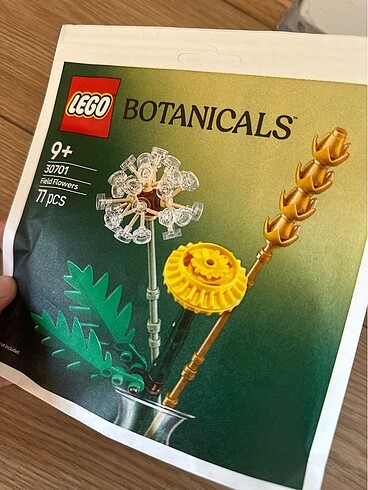  Beden Lego field flowers botanicals