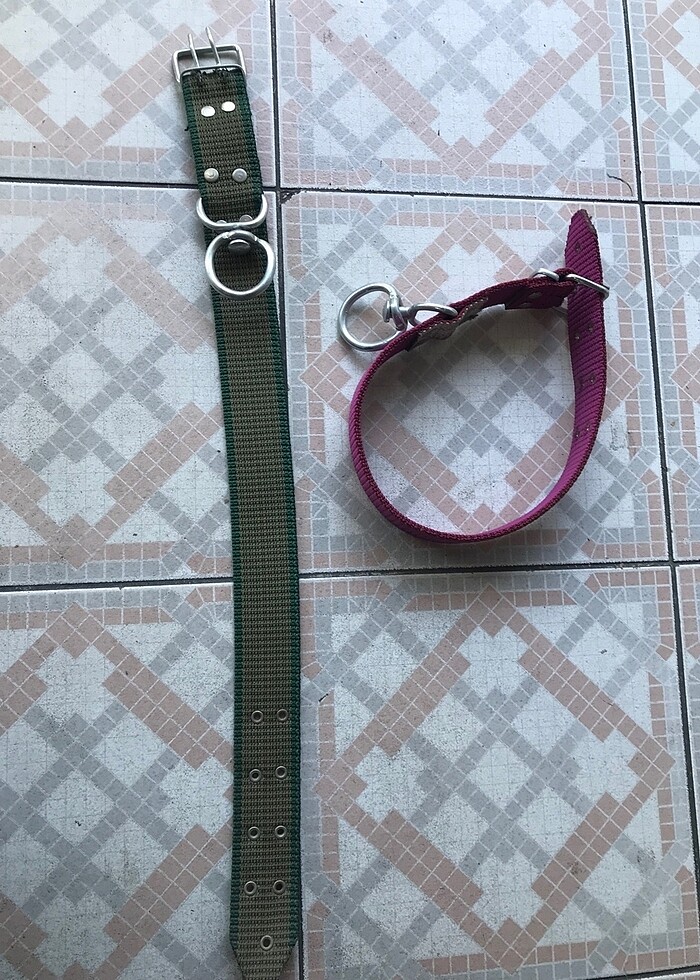 Palaska Kangal Tasma - Görsel 2