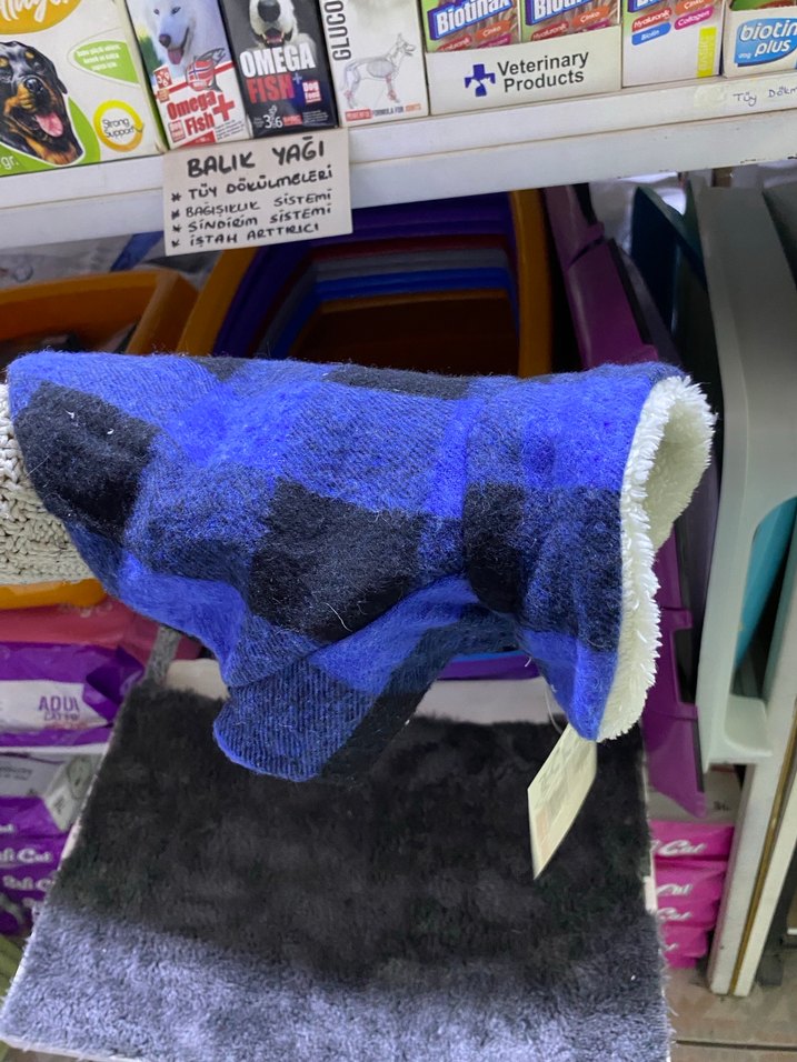 Mavi Düğmeli Ekose Köpek Kıyafeti - Görsel 3