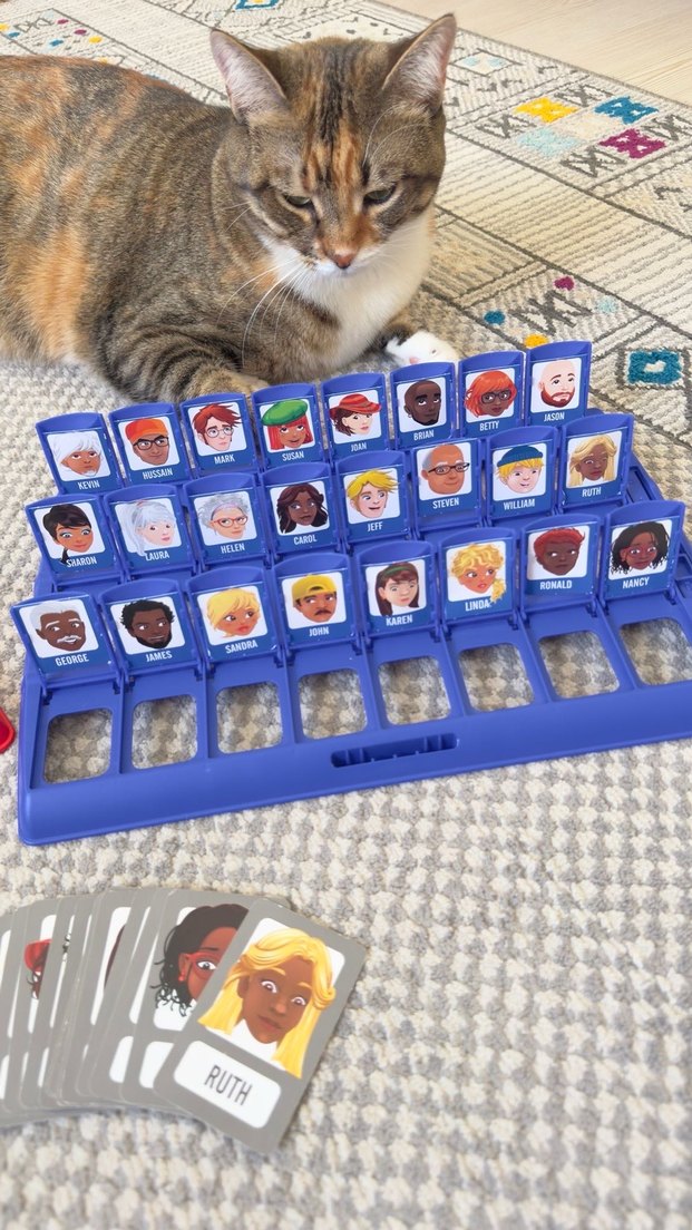 Kedi Aksesuarı Gri Oyun Seti - Görsel 3