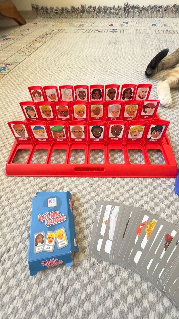 Kedi Aksesuarı Gri Oyun Seti - Görsel 2