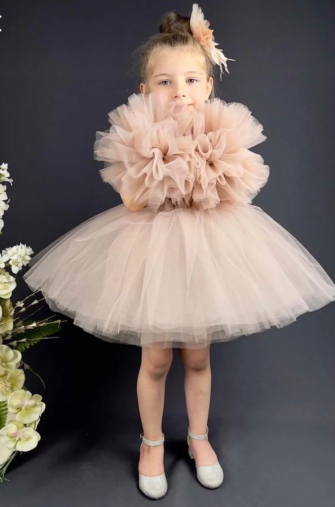 Tü tülü elbise - Görsel 3